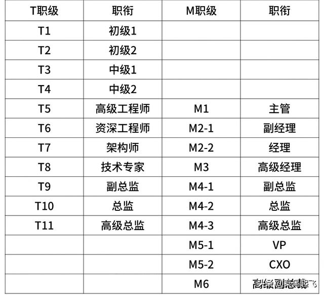 阿里p5薪资范围2020(阿里工资一览表)