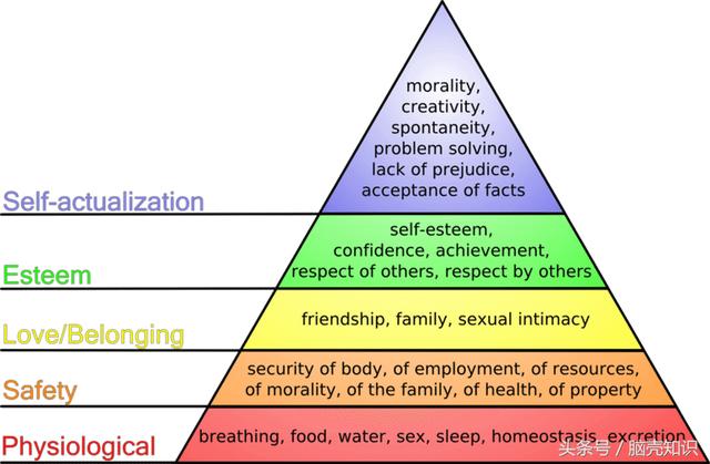 人类需求的五个层次理论(马斯洛的五个需求层次)