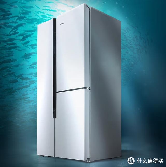 双门冰箱尺寸长宽高多少(美的双门冰箱尺寸规格)