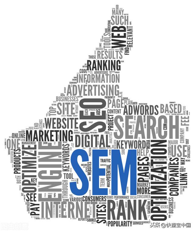 搜索引擎营销案例(SEO、SEM)